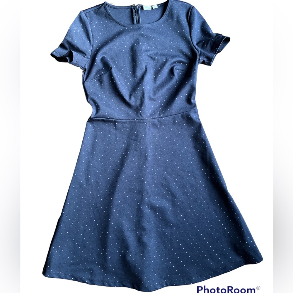 Classic Gap Navy Fit & Flare Dress